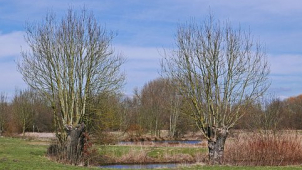 V Oslavanech postavili biotop