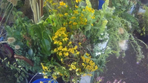 Žena měla v košíku desítky natrhaných květin