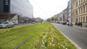 Z okolí tramvajové trati na Nových sadech zmizí keře
