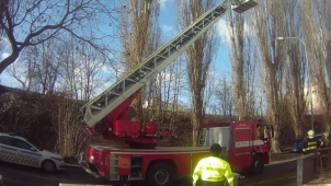 Silný vítr v Brně vyvracel stromy a lámal větve