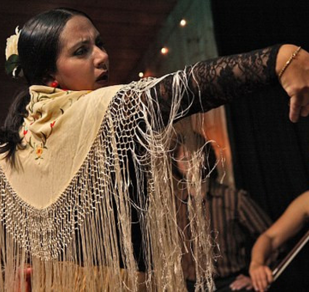 Mezinárodní den tance oslavili flamencem