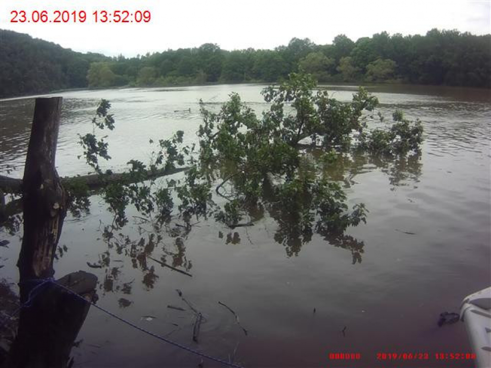 Parníku na Brněnské přehradě spadl do cesty strom