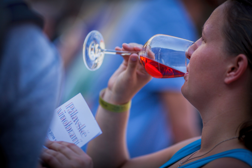 FOTO: Pálavské vinobraní odstartuje v Mikulově už tento pátek