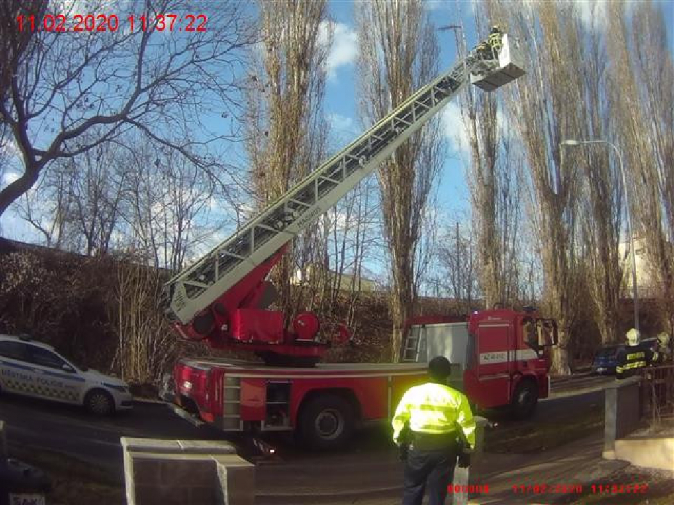 Silný vítr v Brně vyvracel stromy a lámal větve